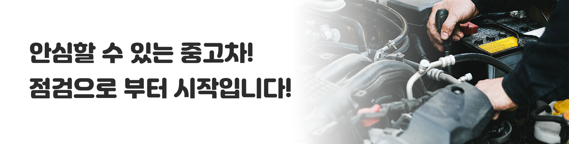EW보증보험